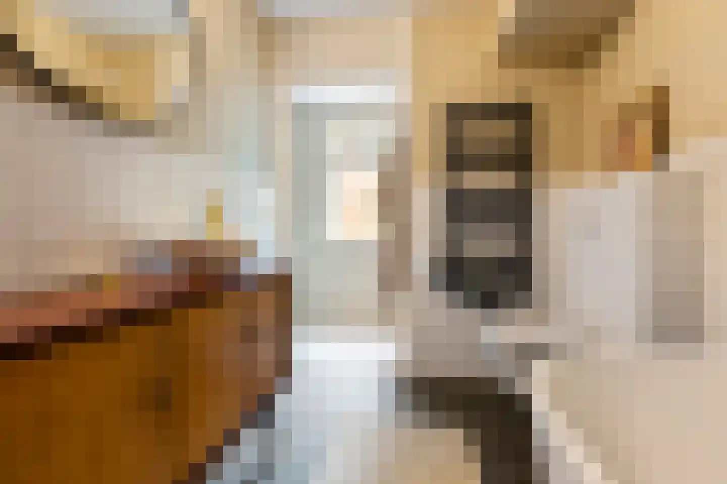 Bekemaheerd 186 Groningen thumbnail 43