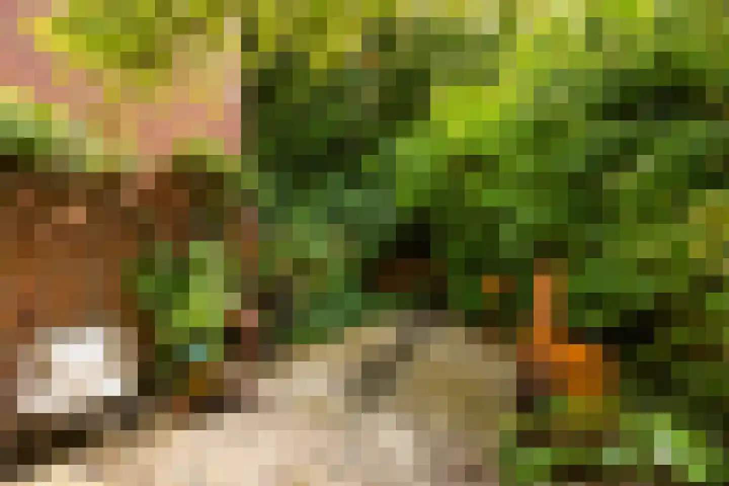 Bekemaheerd 186 Groningen thumbnail 46