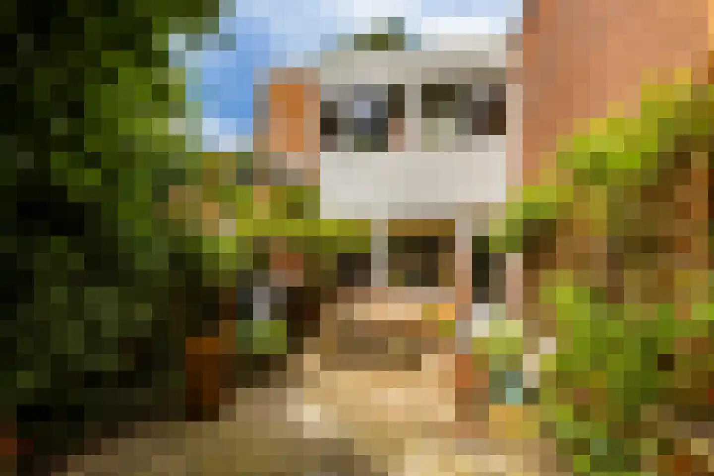 Bekemaheerd 186 Groningen thumbnail 48
