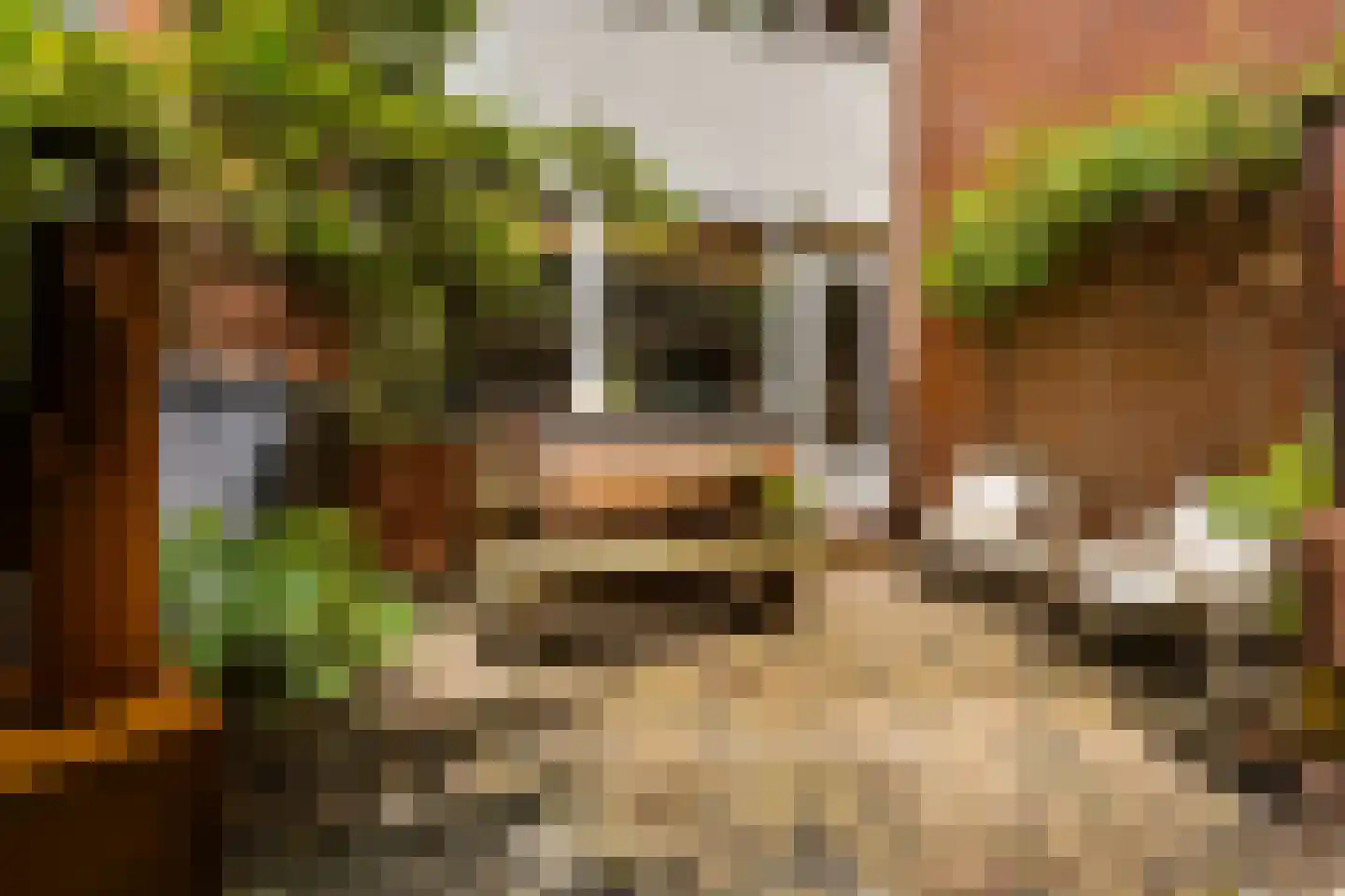 Bekemaheerd 186 Groningen thumbnail 49