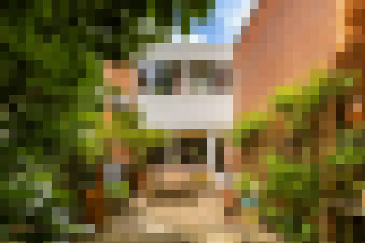 Bekemaheerd 186 Groningen thumbnail 5