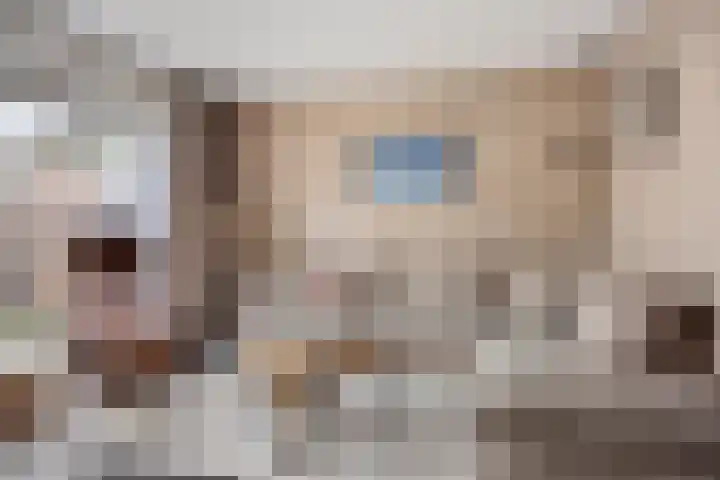 Bekemaheerd 27 Groningen thumbnail 10