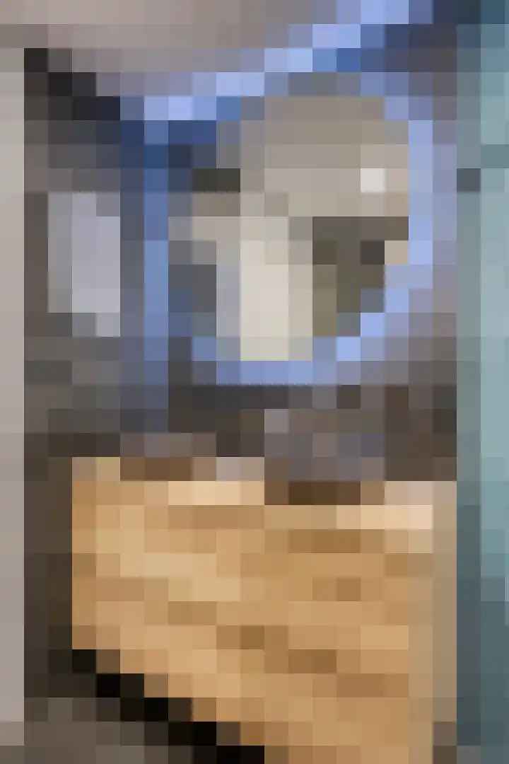Bekemaheerd 27 Groningen thumbnail 25