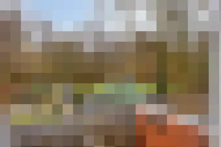 Bekemaheerd 27 Groningen thumbnail 30