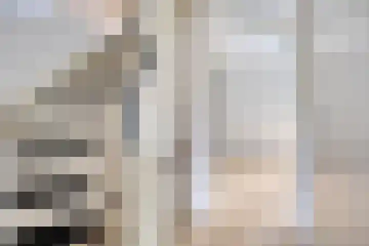 Bekemaheerd 27 Groningen thumbnail 32