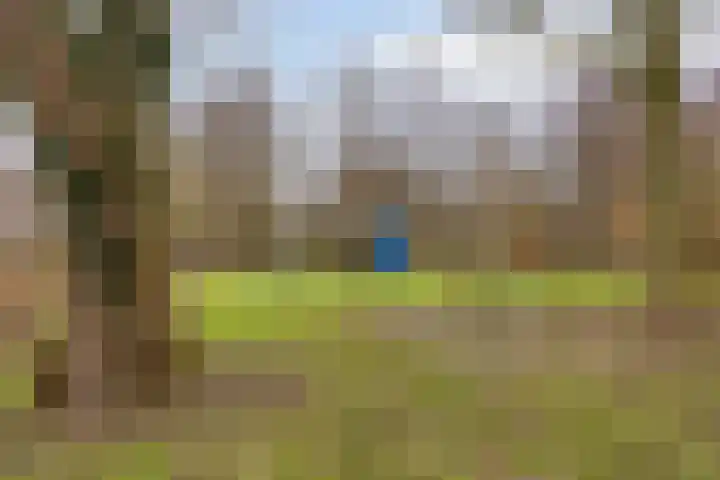 Bekemaheerd 27 Groningen thumbnail 39