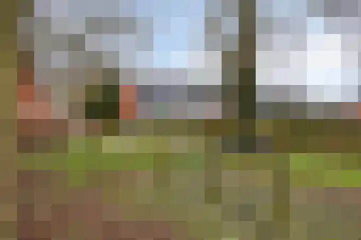 Bekemaheerd 27 Groningen thumbnail 40