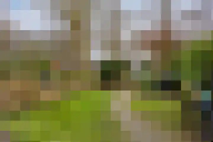 Bekemaheerd 27 Groningen thumbnail 6