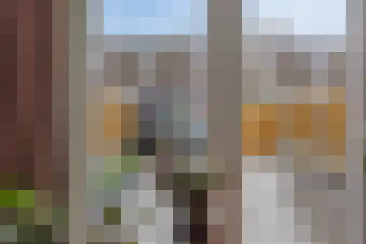 Bekemaheerd 28 Groningen thumbnail 11