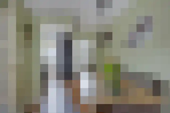 Bekemaheerd 28 Groningen thumbnail 15