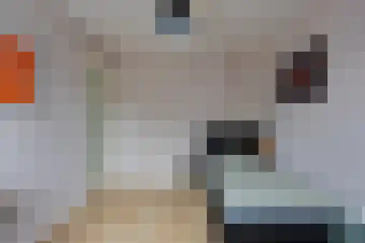 Bekemaheerd 28 Groningen thumbnail 25