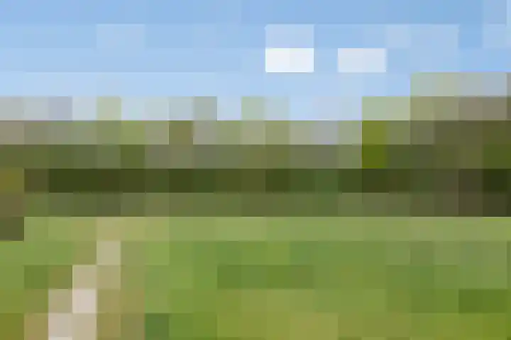 Bekemaheerd 28 Groningen thumbnail 38