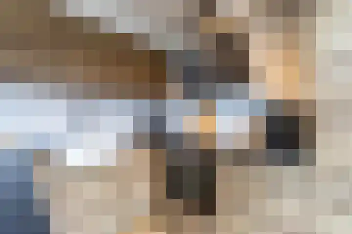 Bekemaheerd 36 Groningen thumbnail 11