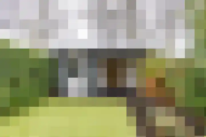 Bekemaheerd 36 Groningen thumbnail 17