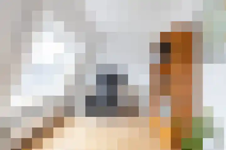 Bekemaheerd 36 Groningen thumbnail 23