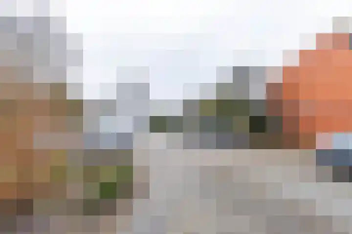Bekemaheerd 36 Groningen thumbnail 36
