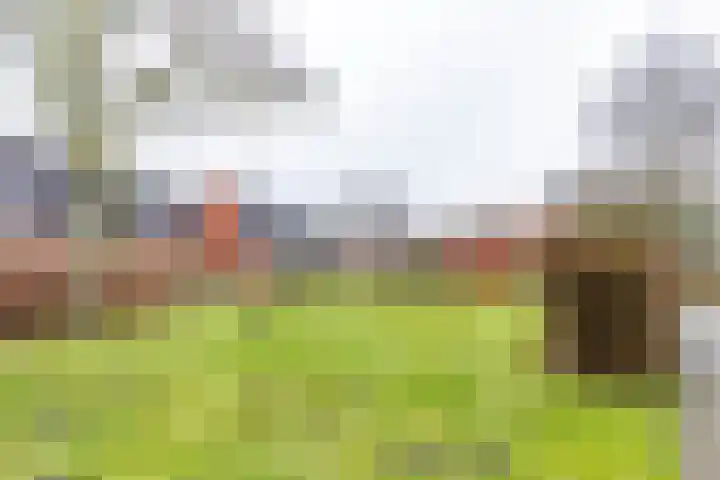 Bekemaheerd 36 Groningen thumbnail 37