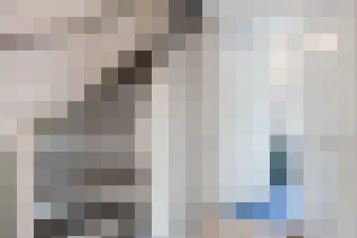 Bekemaheerd 42 Groningen thumbnail 14