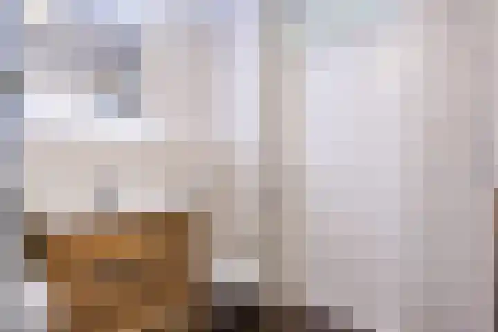 Bekemaheerd 42 Groningen thumbnail 23