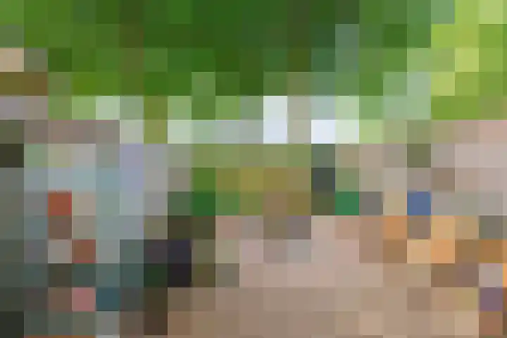 Bekemaheerd 42 Groningen thumbnail 29