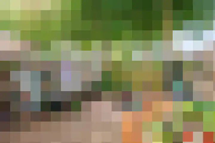 Bekemaheerd 42 Groningen thumbnail 30