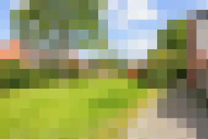Bekemaheerd 42 Groningen thumbnail 33