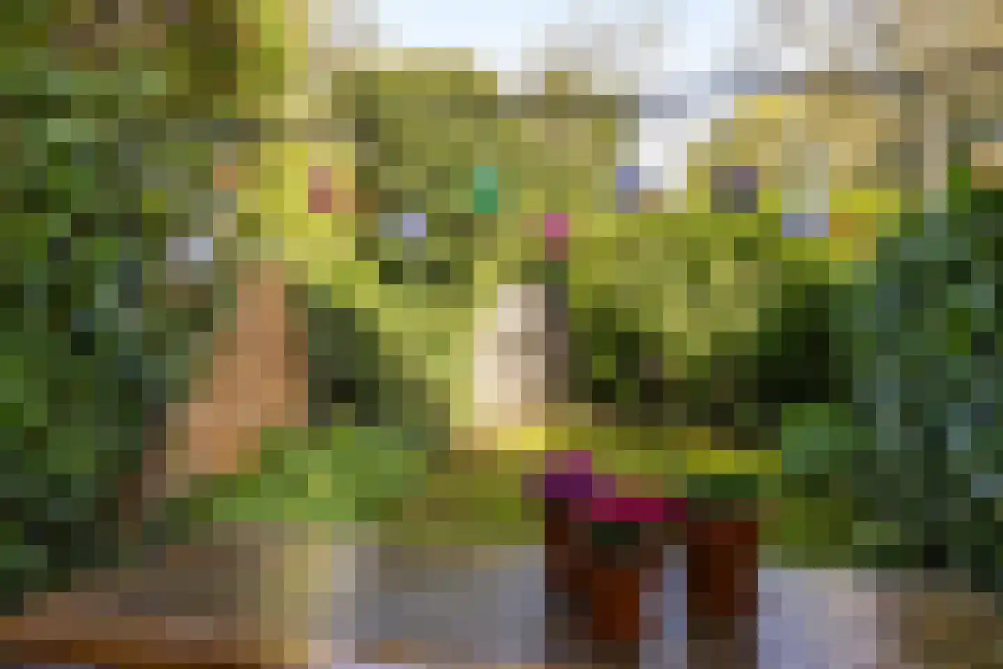 Bekemaheerd 66 Groningen thumbnail 22