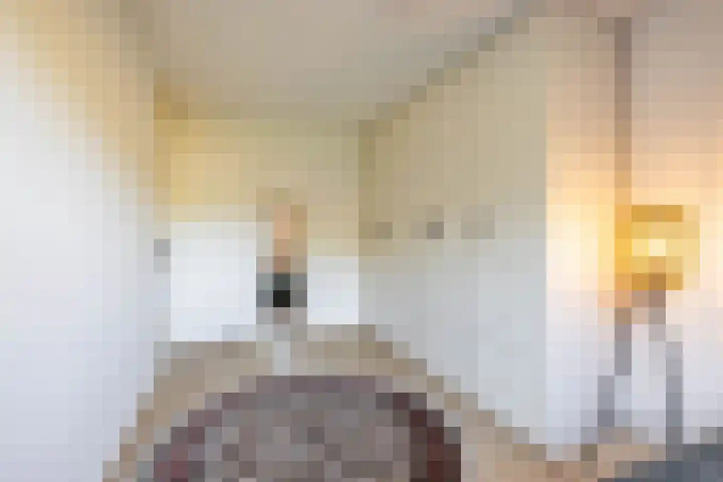 Bekemaheerd 66 Groningen thumbnail 27
