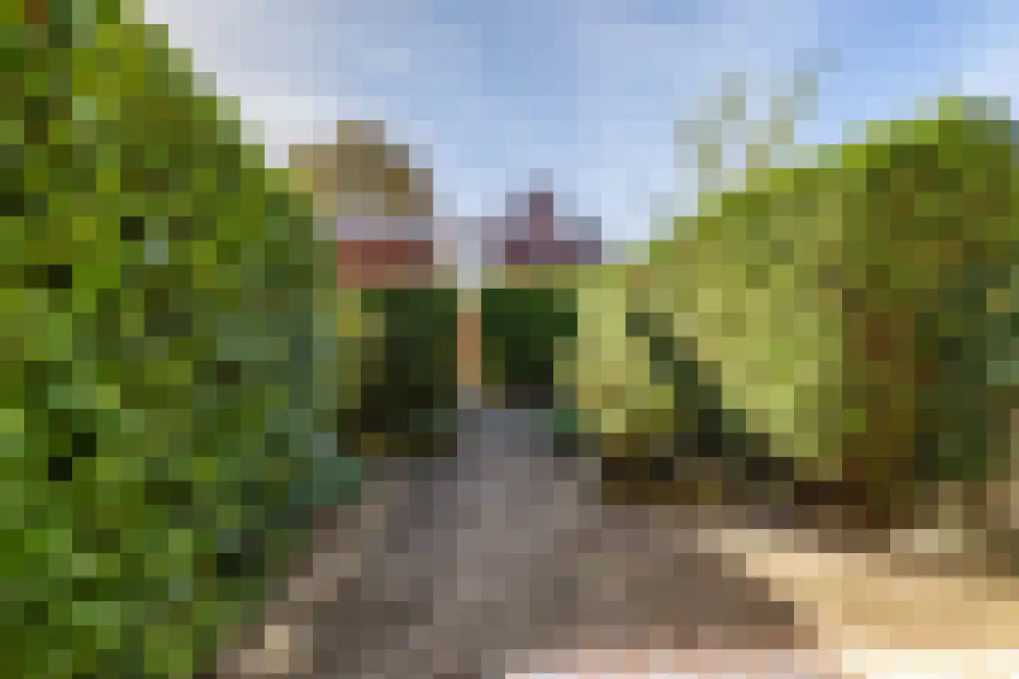 Bekemaheerd 66 Groningen thumbnail 34