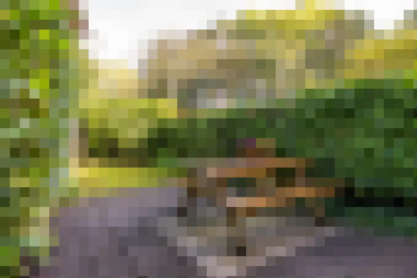 Bekemaheerd 66 Groningen thumbnail 6