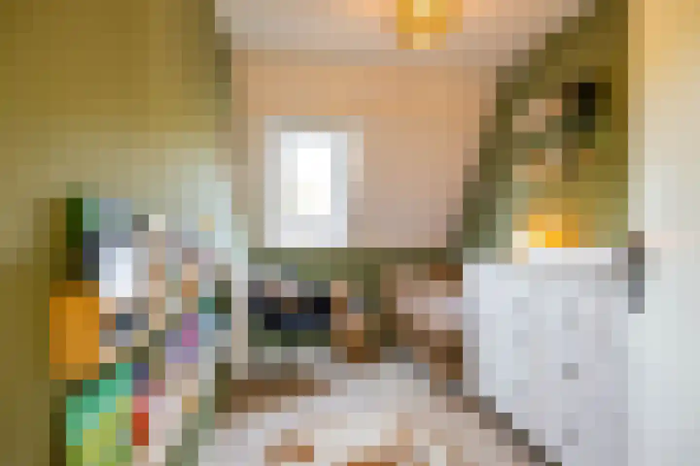Bekemaheerd 66 Groningen thumbnail 8