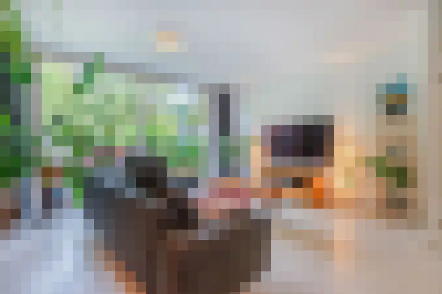 Bekemaheerd 75 Groningen thumbnail 21