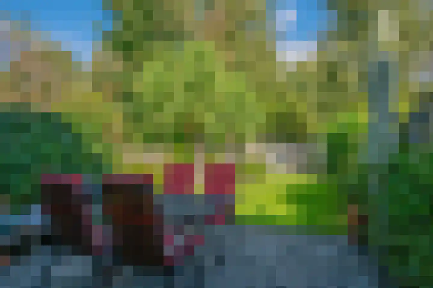Bekemaheerd 75 Groningen thumbnail 33