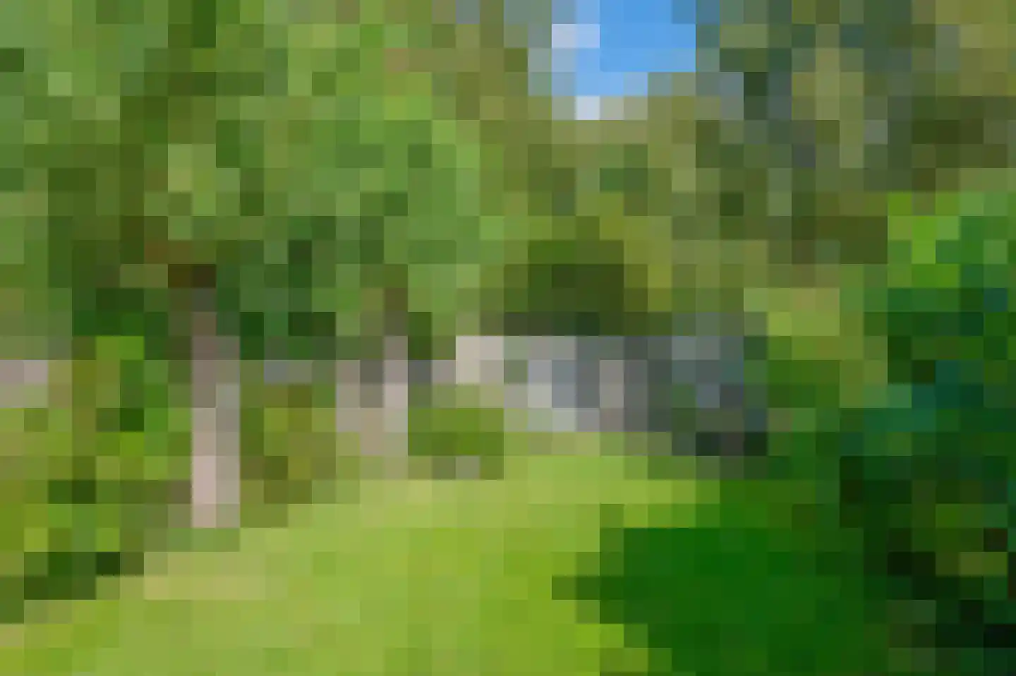 Bekemaheerd 75 Groningen thumbnail 34
