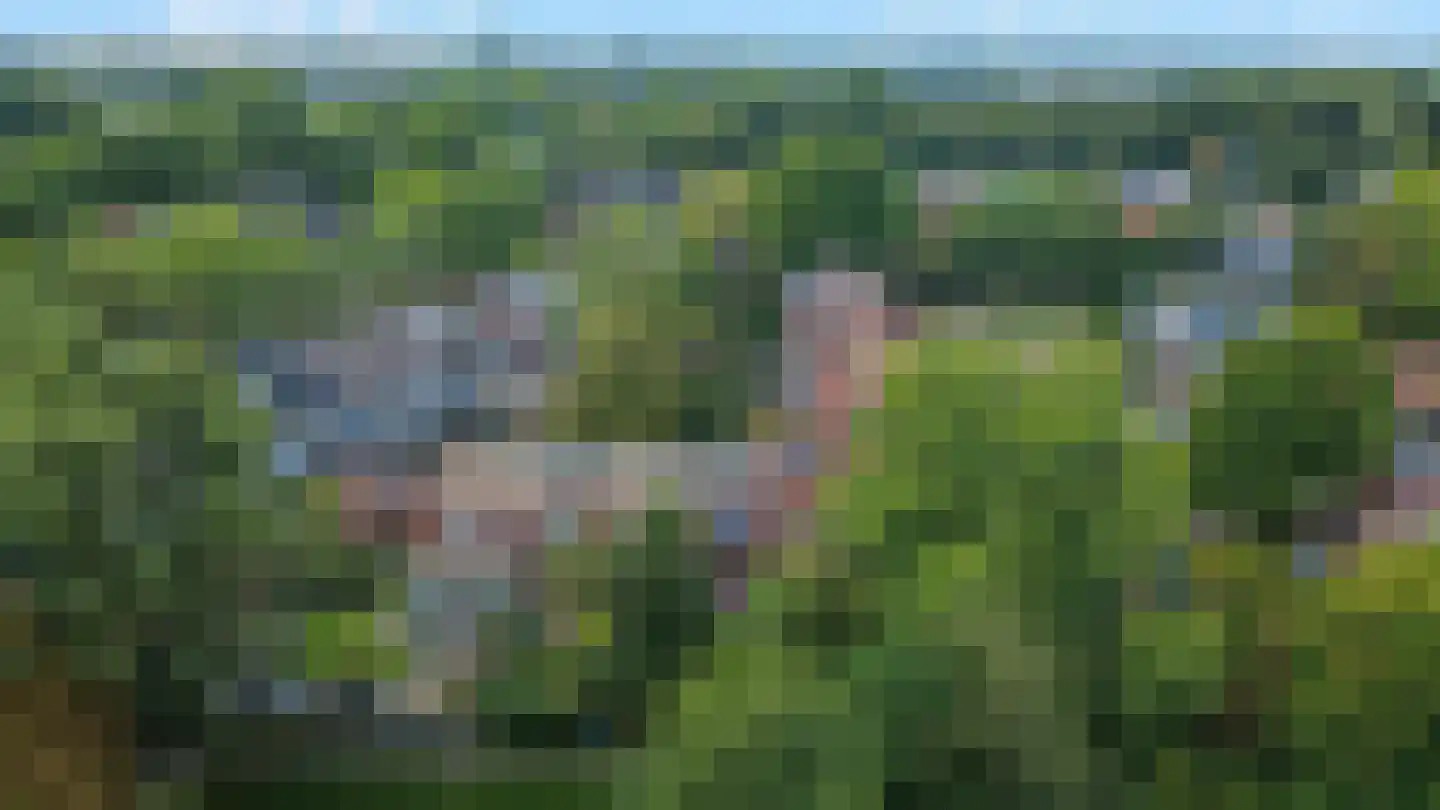 Bekemaheerd 75 Groningen thumbnail 41
