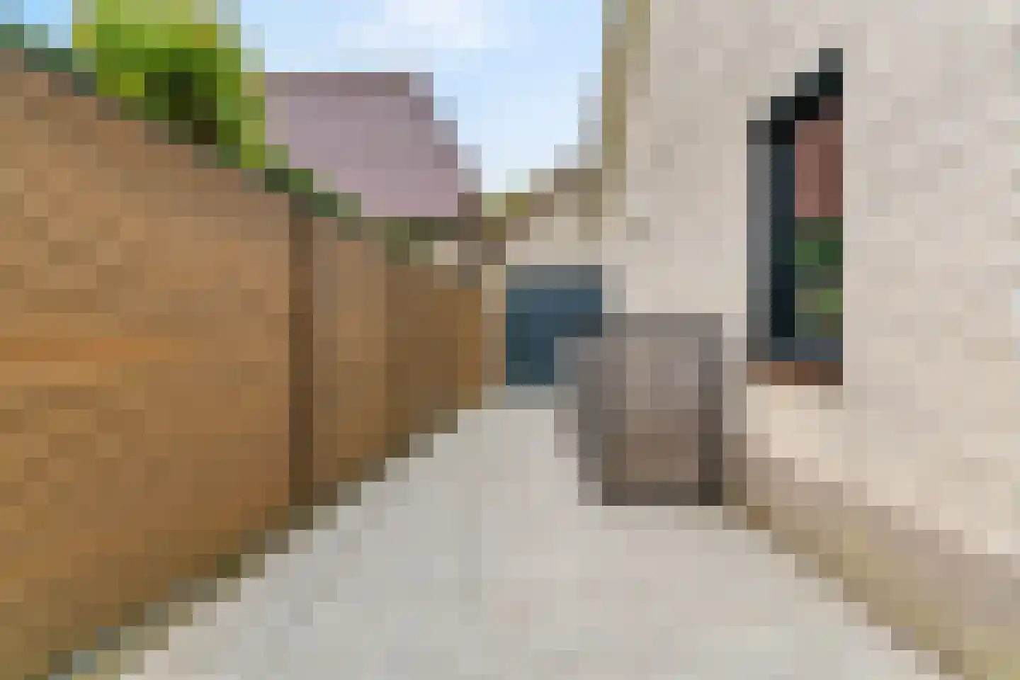 Bekenespad 9 Nieuwerbrug aan den Rijn thumbnail 37