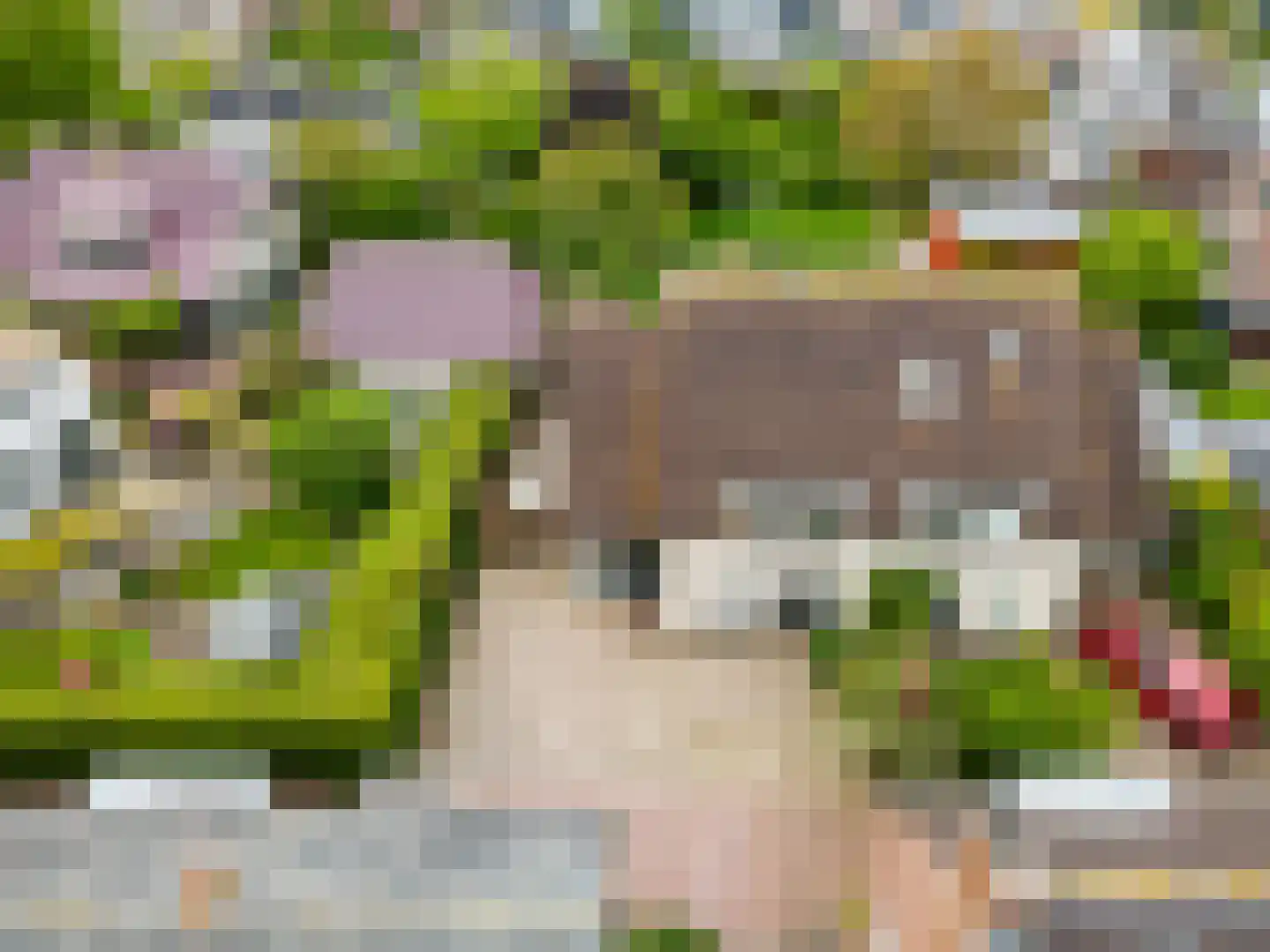 Bekenespad 9 Nieuwerbrug aan den Rijn thumbnail 42