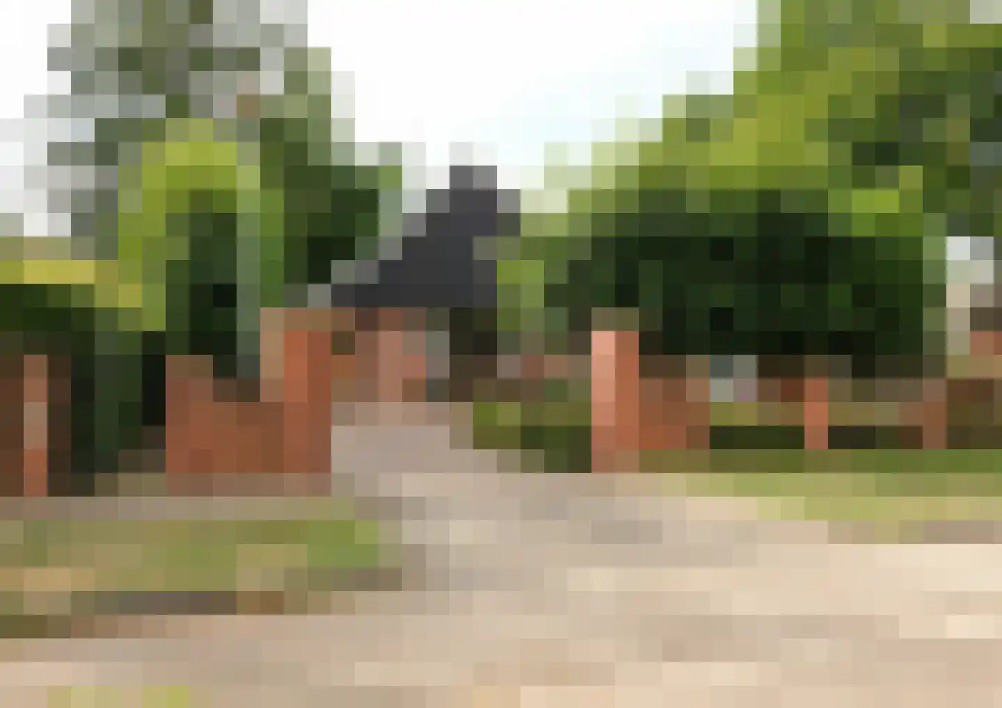 Bekenhorst 6 Borne