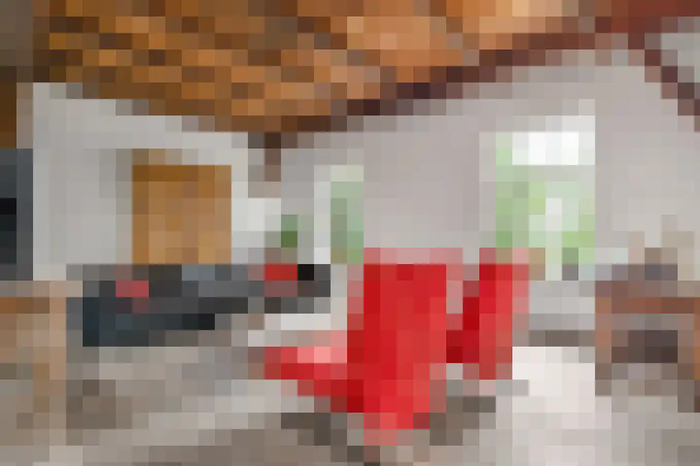 Bekenhorst 6 Borne thumbnail 10