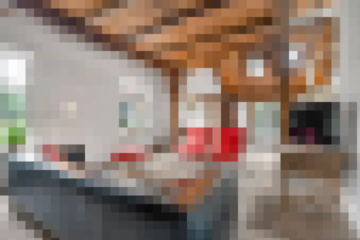 Bekenhorst 6 Borne thumbnail 11