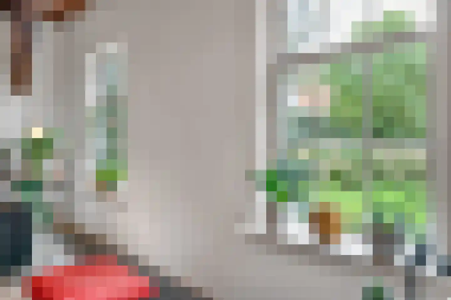 Bekenhorst 6 Borne thumbnail 12