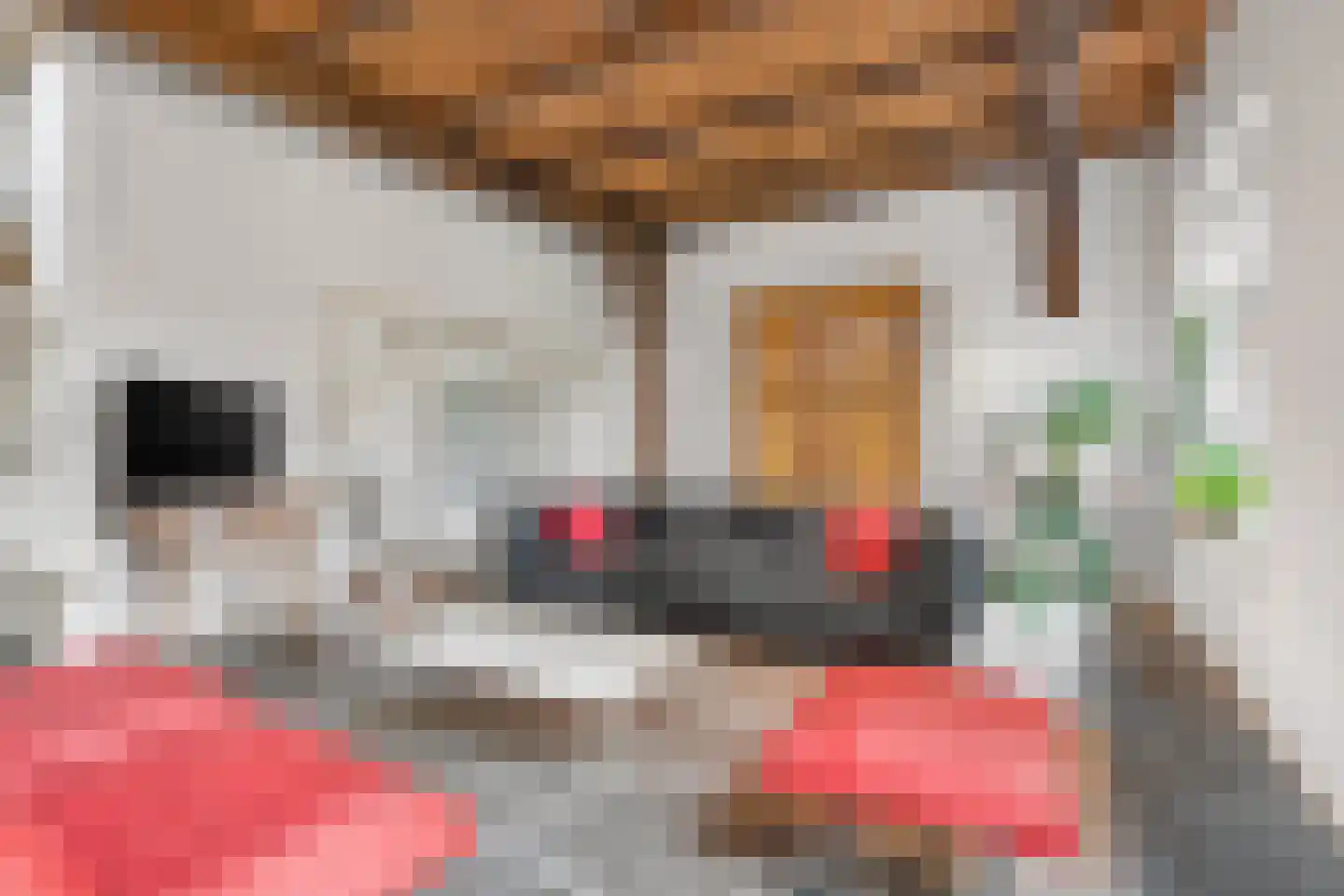 Bekenhorst 6 Borne thumbnail 13