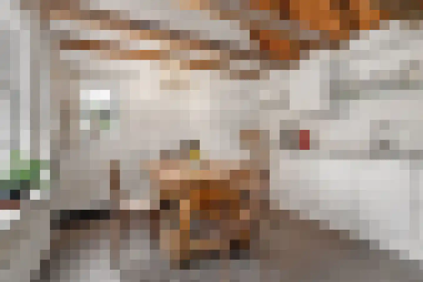 Bekenhorst 6 Borne thumbnail 16
