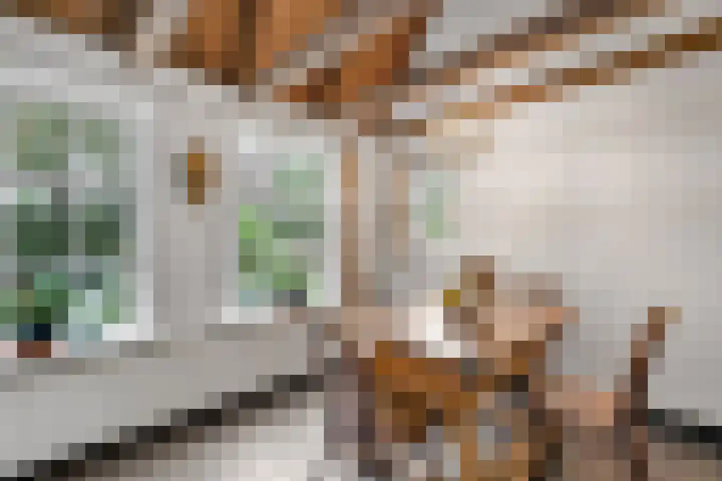 Bekenhorst 6 Borne thumbnail 17