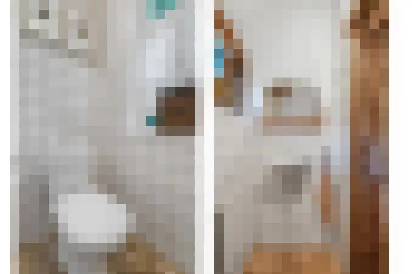 Bekenhorst 6 Borne thumbnail 18