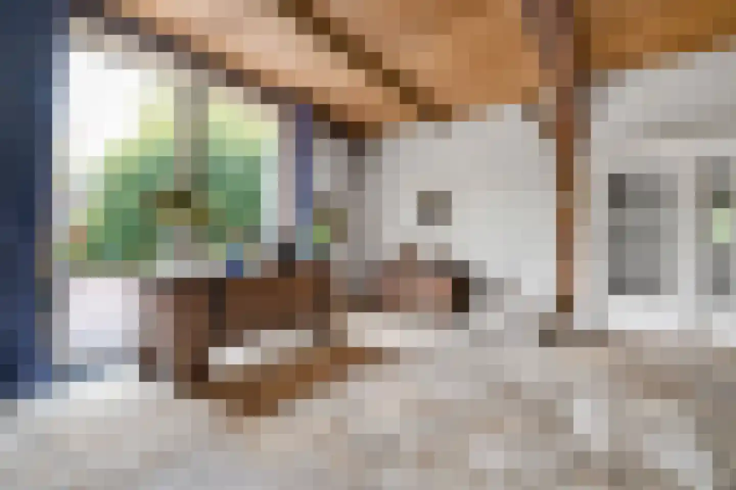 Bekenhorst 6 Borne thumbnail 19