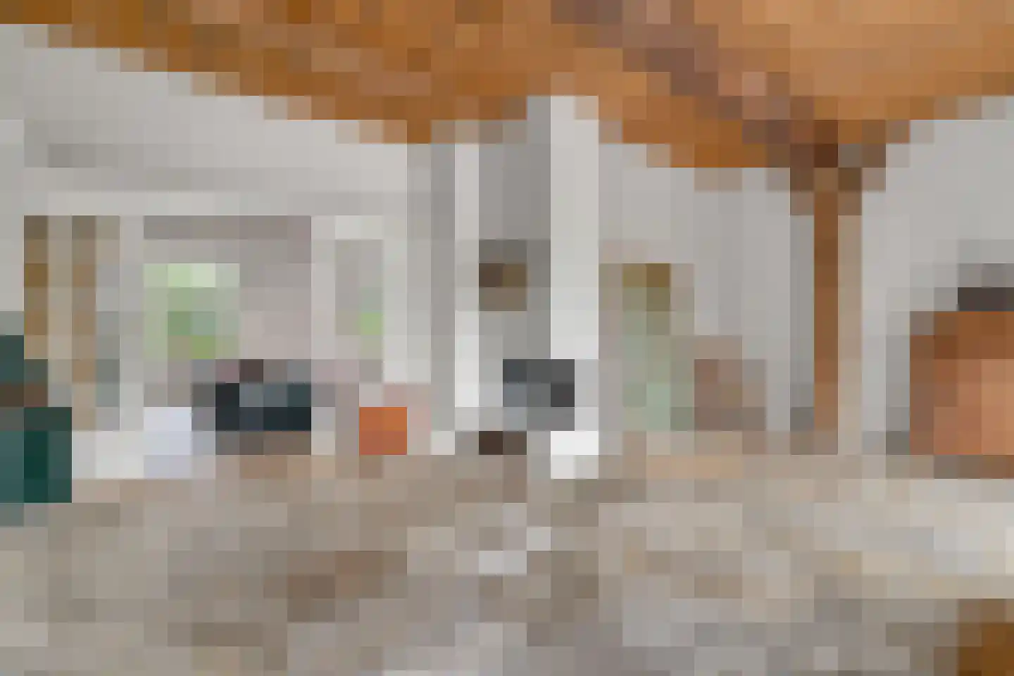 Bekenhorst 6 Borne thumbnail 21