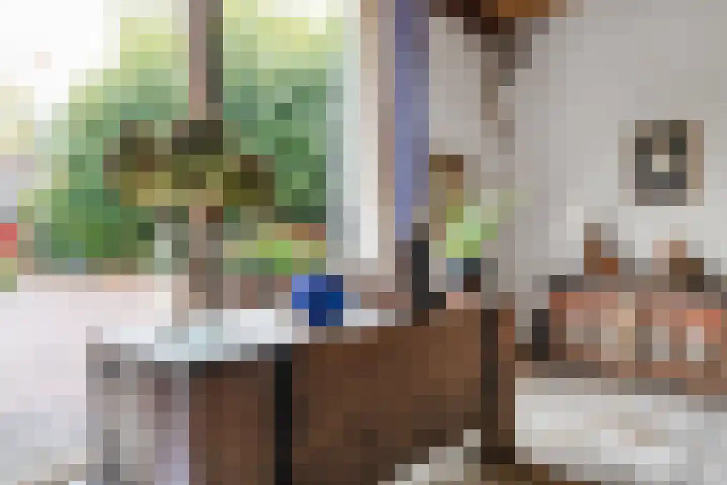 Bekenhorst 6 Borne thumbnail 23