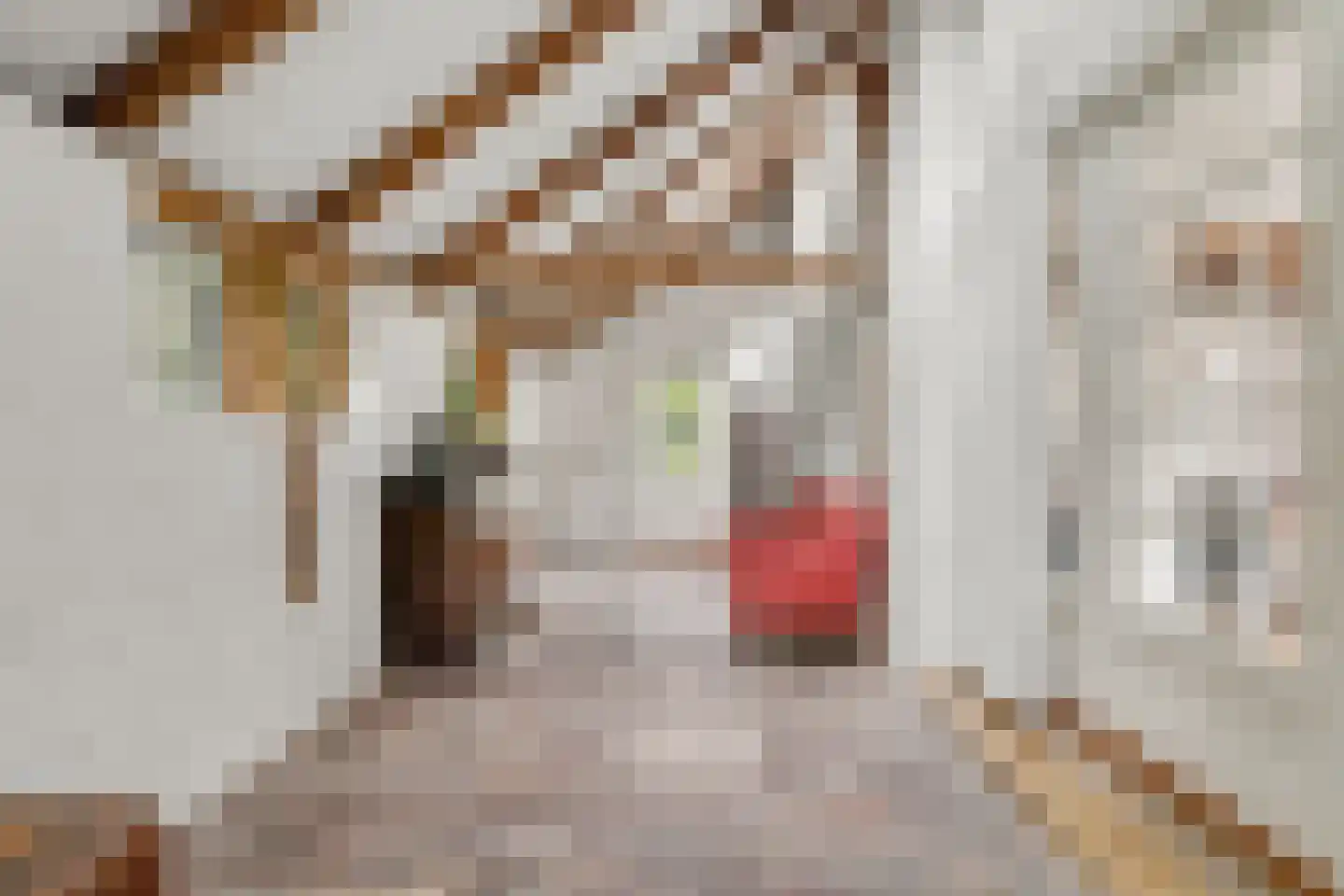 Bekenhorst 6 Borne thumbnail 25