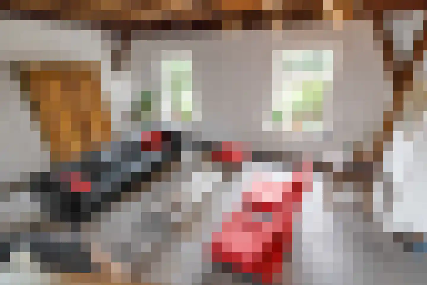 Bekenhorst 6 Borne thumbnail 28